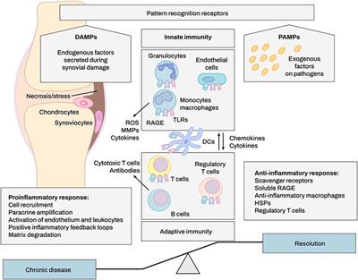 Inflammasomes and their roles in arthritic disease pathogenesis